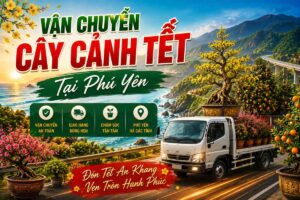 Vận Chuyển Cây Cảnh Tết Tại Phú Yên