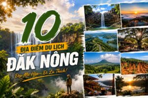 10 Địa Điểm Du Lịch Đắk Nông